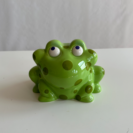 Froggie Piggie Bank